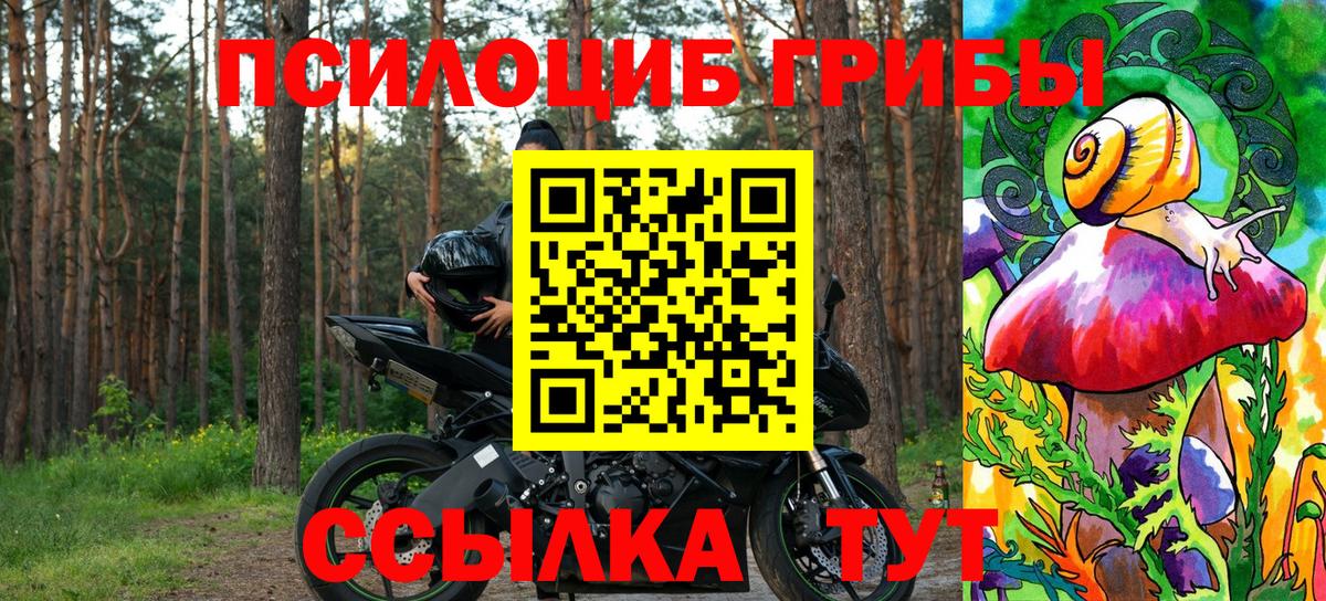 Павлово  Галлюциногенные грибы GOLDEN TEACHER  Вход с VPN 